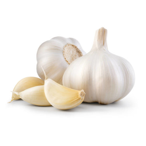 Ail Gousse فص الثوم