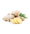 Gingembre Frais جذر الزنجبيل