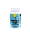 Lactobacillus Gasseri BIO Vitall+ 100mg 60 gélules لاكتوباسيلوس غاسيري