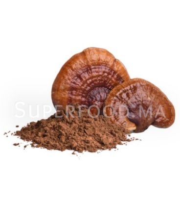 Champignons Reishi En Poudre au Maroc الفطر الريشي مسحوق