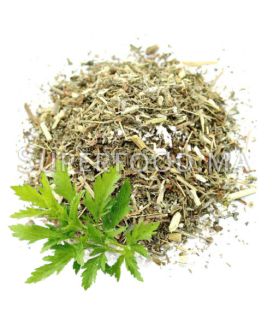 Absinthe الشيح الكبير