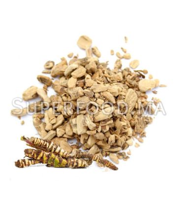 Acore Calamus Racine عرق أذخر الهند