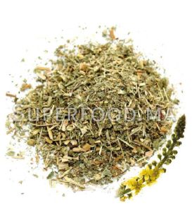 Aigremoine au Maroc الأقحوان البري