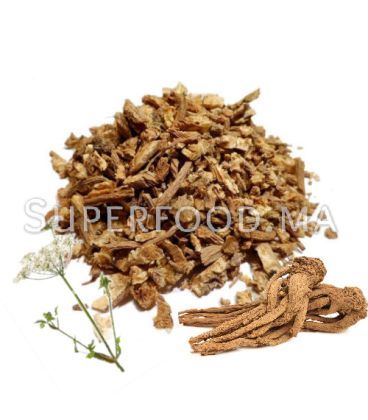 RACINE D’ANGÉLIQUE  جذر الملاك