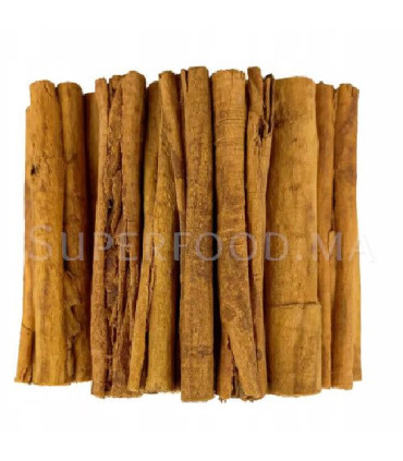 Cannelle de Ceylan Gros bâtons entiers au Maroc القرفة السيلانية