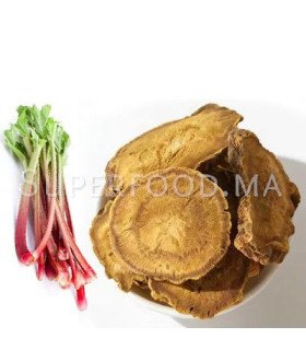 Racine de rhubarbe au Maroc جذور الراوند
