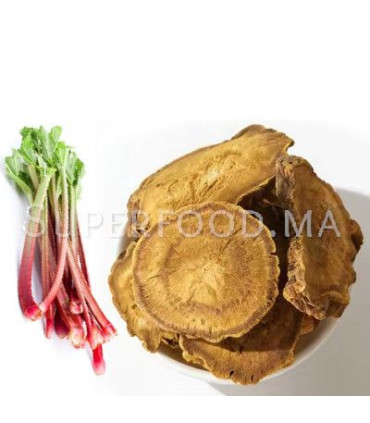 Racine de rhubarbe au Maroc جذور الراوند