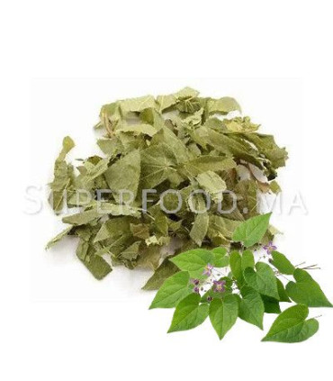 Epimedium Feuilles  عشبة العنزة أو الإبيمديوم