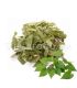 Epimedium Feuilles  عشبة العنزة أو الإبيمديوم