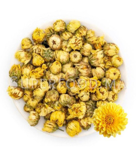Bourgeons de Chrysanthème براعم الأقحوان