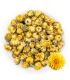 Bourgeons de Chrysanthème براعم الأقحوان