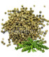 Poivre Vert Grains فلفل أخضر