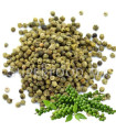 Poivre Vert Grains فلفل أخضر