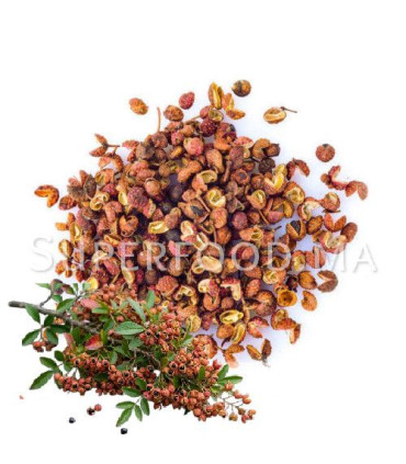 Poivre de Sichuan  فلفل سيتشوان
