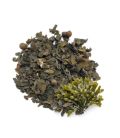 Fucus وكوس البحريف