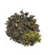 Fucus وكوس البحريف