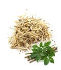 Éleuthérocoque (Ginseng de Sibérie)الإليوثروكوك أو الجنسنغ السيبيري
