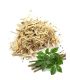 Éleuthérocoque (Ginseng de Sibérie)الإليوثروكوك أو الجنسنغ السيبيري
