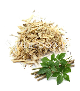 Éleuthérocoque (Ginseng de Sibérie)الإليوثروكوك أو الجنسنغ السيبيري