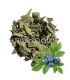 Feuilles de Myrtille  أوراق العنبية (التوت الأزرق