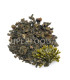 Fucus وكوس البحريف