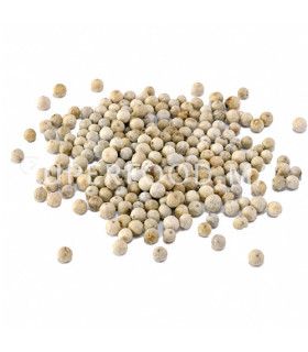 Poivre Blanc grains جبوب فلفل أبيض