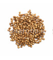 Graines de Coriandre  بذور الكزبرة