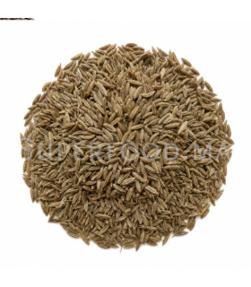 Cumin moulu au Maroc  كمون مطحون