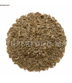Cumin en Grains  حبوب الكمون