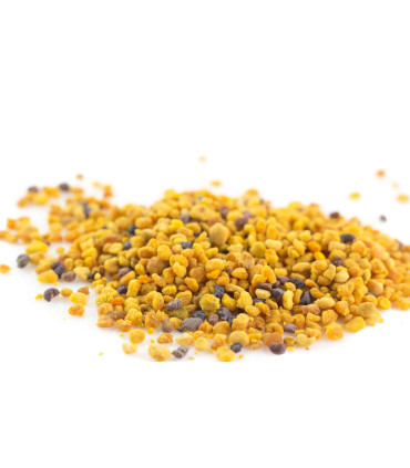 Graines de Pollen d'abeilles حبوب اللقاح
