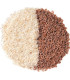 Graines de Psyllium بسيليوم - بذور قاطونة