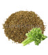 Graines de Céleri بذور الكرفس
