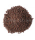 Graines de Moutarde Brune بذور الخردل البني