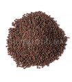 Graines de Moutarde Brune بذور الخردل البني