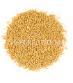 Graines de Moutarde Jaune بذور الخردل الأصفر