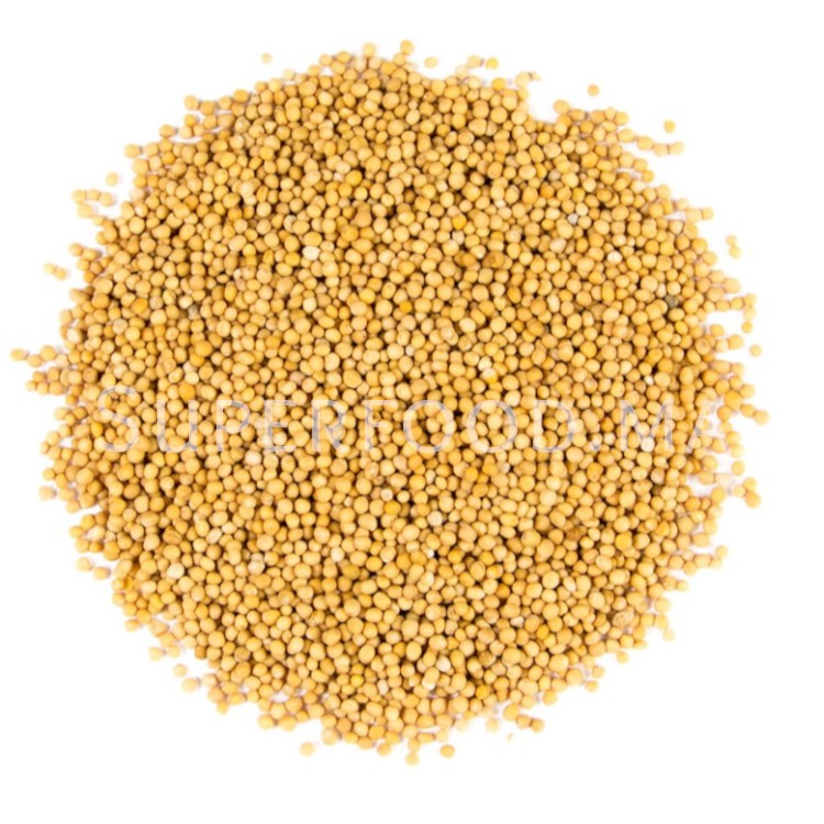Graines de Moutarde Jaune بذور الخردل الأصفر