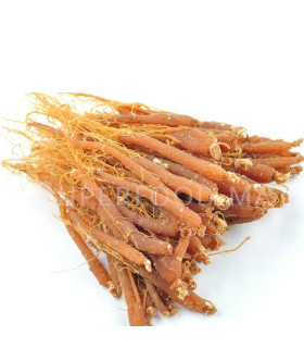 Panax Ginseng Rouge, racines entières جنسنج أحمر