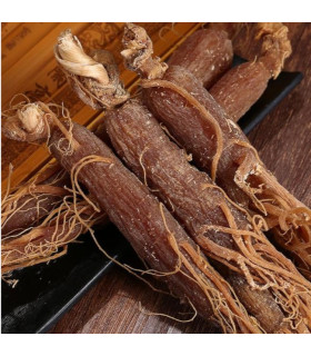 Panax Ginseng Rouge, racines entières جنسنج أحمر