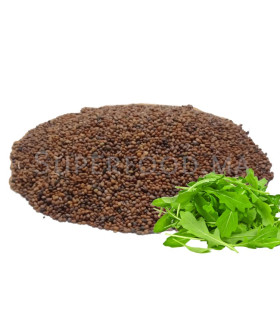 Graines de Roquette بذور الجرجير