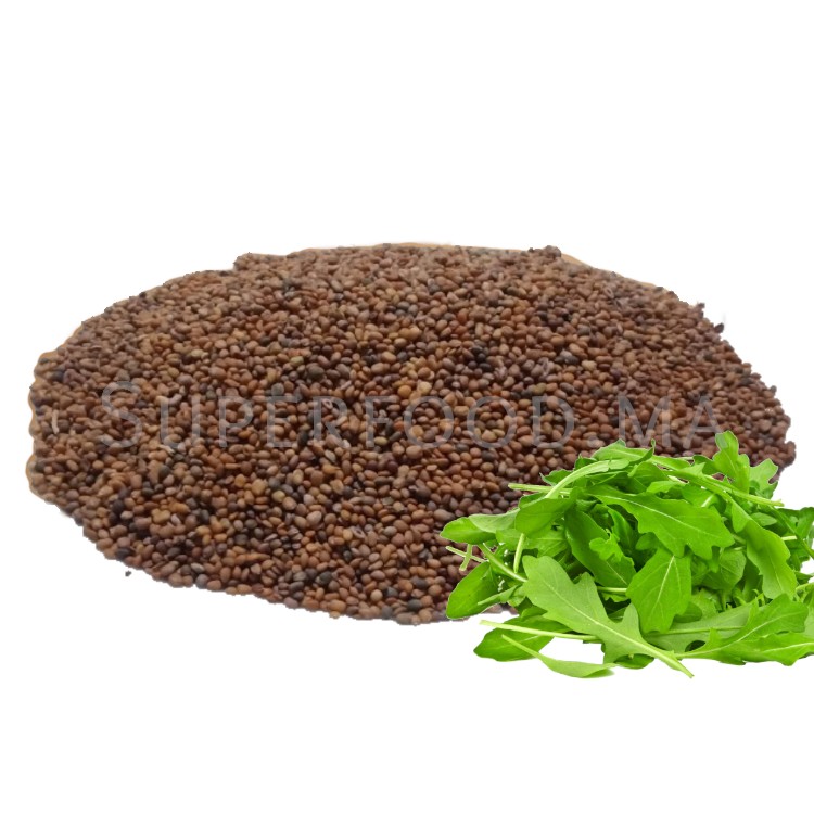 Graines de Roquette بذور الجرجير