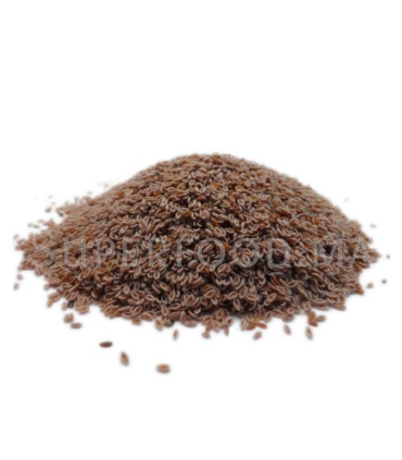 Graines de Psyllium بسيليوم - بذور قاطونة