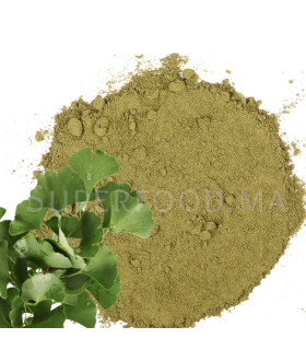 ginkgo-biloba