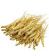 ginseng-racines-entières