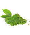 Thé Matcha Bio en poudre du Japon ماتشا بيو  au Maroc