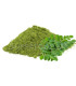 Moringa en poudre مورينكا مطحونة