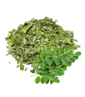 Moringa en feuilles مورينكا أوراق