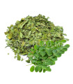 Moringa en feuilles مورينكا أوراق
