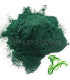 Spiruline en Poudre سبيرولينا - سبيرولين