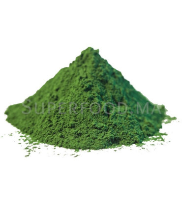 Chlorella Bio en poudre كلوريلا
