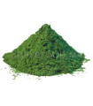 Chlorella Bio en poudre كلوريلا